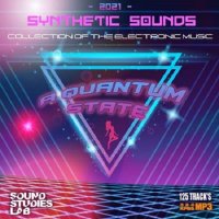 A Quantum State: Synth Electronic Mix (2021)