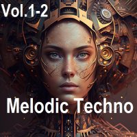 Melodic Techno Vol.1-2 (2024) MP3